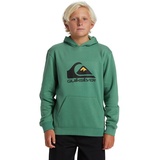 QUIKSILVER Kapuzensweatshirt »BIG LOGO HOODIE YOUTH«, grün