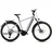 28 Zoll RH 54 cm Diamant silverdust´n´chrome