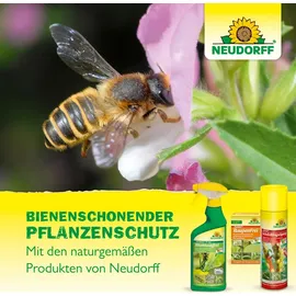 NEUDORFF Spruzit AF Orchideen Schädlingsfrei Insektizid 250 ml