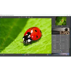 InPixio Photo Maximizer 3 DE Win