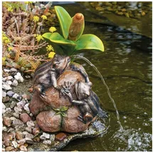 esotec Wasserspeier Komplettset Froschpaar