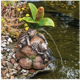 esotec Wasserspeier Komplettset Froschpaar