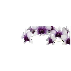 mySPOTTI Küchenrückwand »Orchidee lila«, Aluverbund, Orchidee