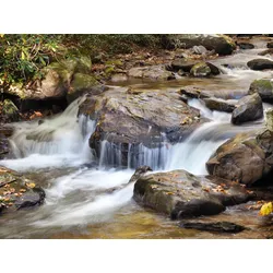 Fototapete PAPERMOON "WASSERFALL-BÄUME FLUSS SEE STEINE BLUME WALD BACH SONNE", bunt, B:3,00m L:2,23m, Vlies, Tapeten