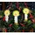 Coppenrath Verlag A4-Wand-Adventskalender Kaminzimmer