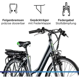 Zündapp Z802 2021 28 Zoll RH 48 cm Damen grau/grün