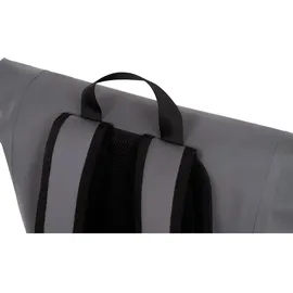 Black Cat Cat Seal Grey