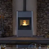 HS FLAMINGO Kaminofen AQUAFLAM 25 mit Wärmetauscher Grundeinstellung grau - Grau