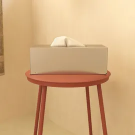 Cosmic Tücherbox Edelstahl