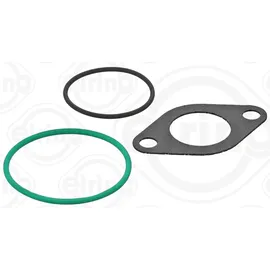 Elring Dichtungssatz, AGR-System