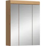VCM Scout 60 cm braun