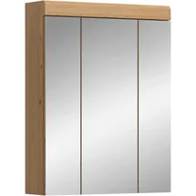VCM Scout 60 cm braun