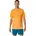 Road Seamless SS TOP YAMABUKI