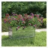 furnicato Garten-Hochbeet 100 x 40 x 45 cm Silber