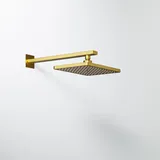 Steinberg Serie 342 Regenbrause, 186x258mm, 3421686BG, Farbe: Brushed Gold