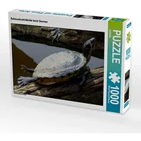 Calvendo Schmuckschildkröte beim Sonnen Puzzle