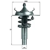 mahle Thermostat, Kühlmittel