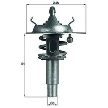mahle Thermostat, Kühlmittel