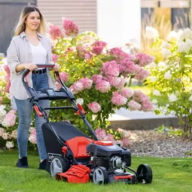 SCHEPPACH MS225-53E 7-in-1 inkl. 1 x 2,0 Ah Akku + Ladegerät 2,4 A + Motoröl