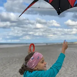 Donic Schildkröt Profi Delta Stunt Lenkdrachen