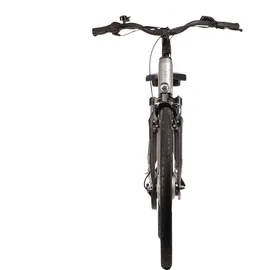 Saxonette Comfort Plus 5.0 28 Zoll RH 45 cm Silver