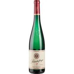 Scharzhofberger Pergentsknopp Riesling Großes Gewächs trocken - 2022 - Van Volxem - Deutscher Weißwein