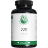 GREEN NATURALS Jod aus Bio-Kelp 200 ug