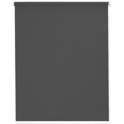 Seitenzugrollo SUNLINES "Youngstyle Uni", grau (anthrazit, weiß), B:82cm H:180cm, Polyester, Aluminium, Kunststoff, Rollos