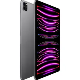 Apple iPad Pro 11" (4. Generation 2022) 1 TB Wi-Fi space grau