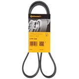 Continental CONTITECH 6PK1244