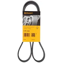 Continental CONTITECH 6PK1244