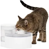 PetSafe Outlast Trinkbrunnen ohne Pumpe, 1,7 L, Trinkbrunnen für Katzen und kleine Hunde, spülmaschinenfest, einfache Montage und Reinigung, Wasserfilter enthalten