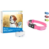 Tractive GPS Tracker für Hunde + LED-Halsband. Live-Ortung mit unbegrenzter Reichweite (Pink, S)