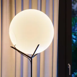 s.luce Orb Poseidon 175cm 50cm Braun