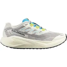 Salomon Aero Blaze 3 GRVL Herren Beige / Schwarz 44