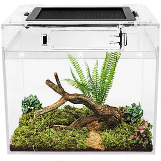 Mini-Reptilien-Terrarium, 20,3 x 20,3 x 20,3 cm, Mini-Reptilienbecken mit voller Sicht, visuell ansprechend, explosionsgeschütztes Glas, für Reptilien und Amphibien