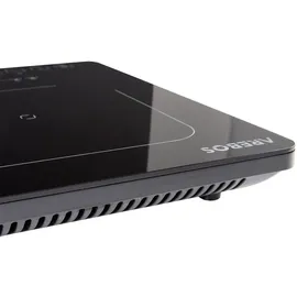 Arebos Doppel-Induktionskochplatte