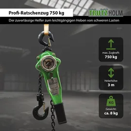 Trutzholm Kettenzug Stahl 3 m grün