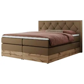 mks möbel Veneto King 200 x 200 cm H3 Braun