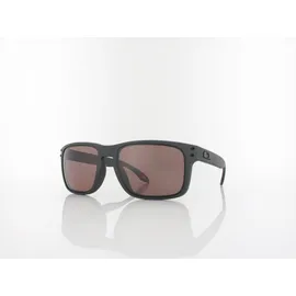 OAKLEY Holbrook OO9102-B5 steel/prizm daily