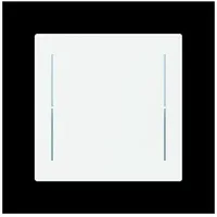 Busch-Jaeger LFW/A.1.70.11-44m