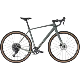 Trek Checkpoint ALR 4 2026 L Unisex grün