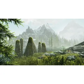 The Elder Scrolls V: Skyrim (USK) (Nintendo Switch)