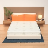 MiaSuite i sogni italiani Matratze Abziehbar 160x190 Höhe 25 cm - Bezug Aloe Vera | Premium
