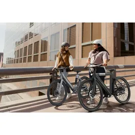 SachsenRAD xBird Urban City Bike C6F Connect Damen 26 Zoll grey