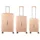 Daniel Ray Travel Castlemaine Koffer-Set 3-tlg. rosa