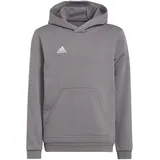 adidas Entrada 22 Sweat, Hoodie Kinder tegrfo 140