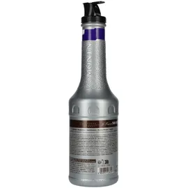Monin FruchtPüree Mix - (1,0l)