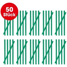 EasyMaxx Abflussreiniger-Sticks Apfelduft 50 St.