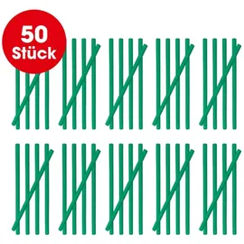 EasyMaxx Abflussreiniger-Sticks Apfelduft 50 St.